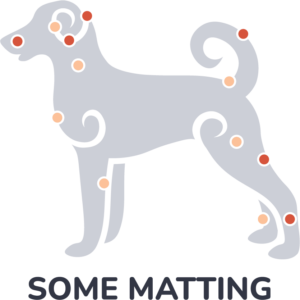 Here's an alt tag for the image: Dog illustration showing acupuncture points.