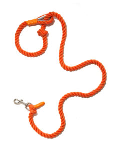 Orange rope leash with metal clip.